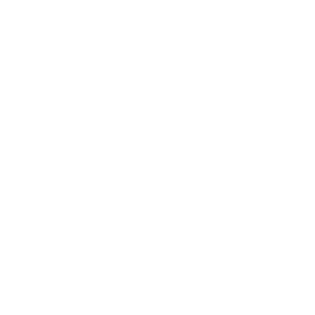 Dhan Wallet Logo